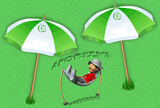 © Carmen Ezgeta © Carmen Ezgeta