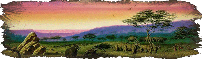 © Carmen Ezgeta © Carmen Ezgeta