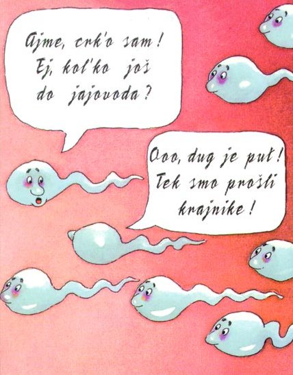 © Carmen Ezgeta © Carmen Ezgeta