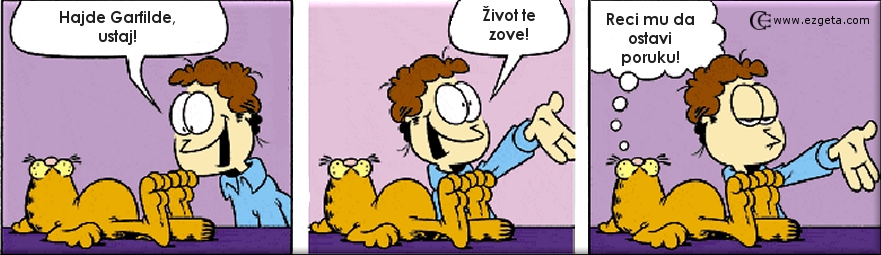 © Carmen Ezgeta © Carmen Ezgeta