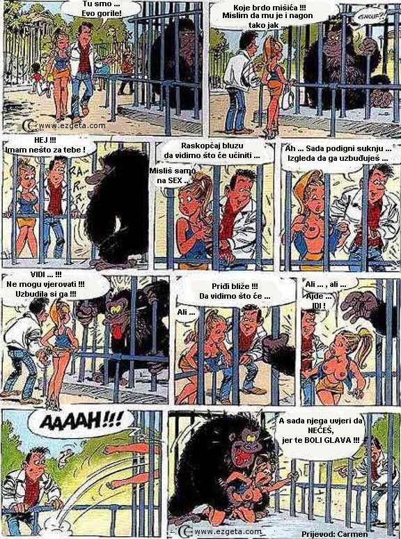 © Carmen Ezgeta © Carmen Ezgeta