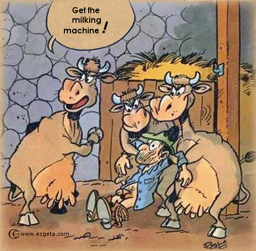 © Carmen Ezgeta © Carmen Ezgeta