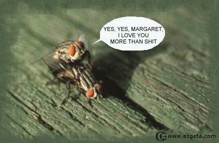 © Carmen Ezgeta © Carmen Ezgeta