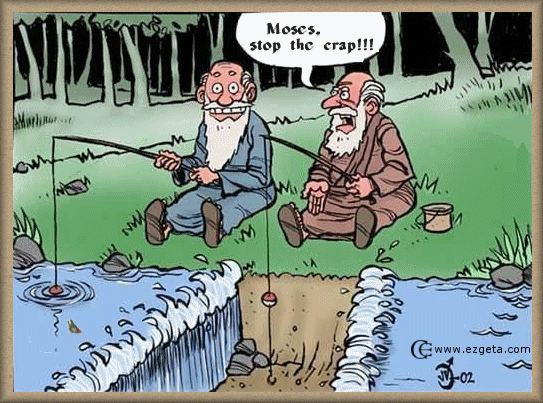 © Carmen Ezgeta © Carmen Ezgeta