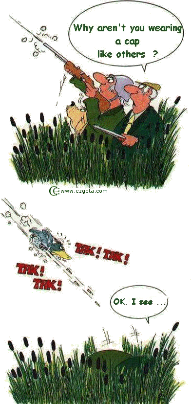 © Carmen Ezgeta © Carmen Ezgeta