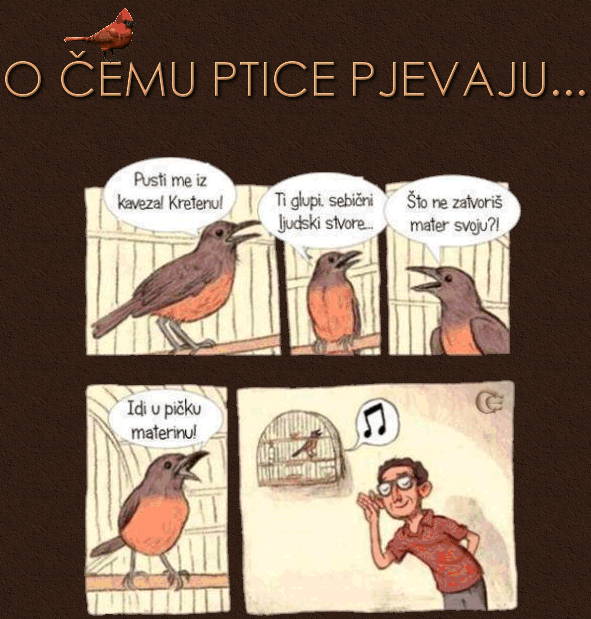 O čemu ptica pjeva...