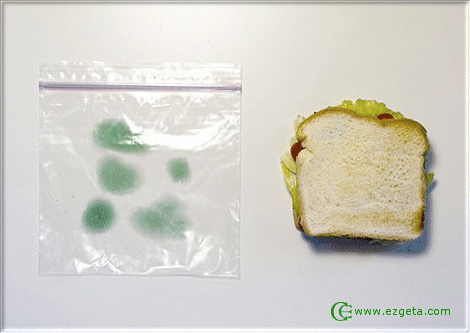 © Carmen Ezgeta © Carmen Ezgeta