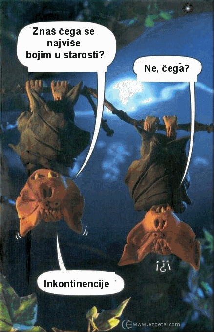 © Carmen Ezgeta © Carmen Ezgeta