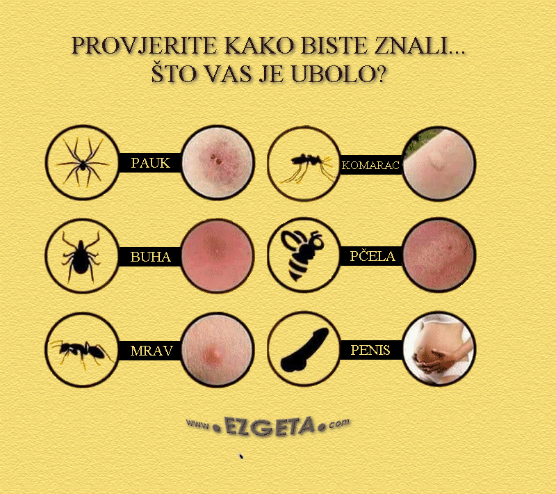 Copyright Carmen Ezgeta Copyright Carmen Ezgeta