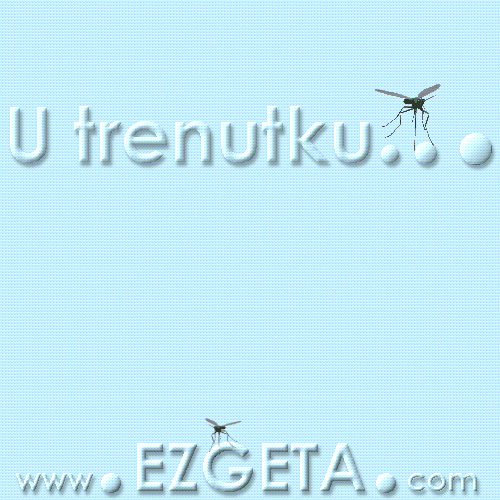 © Carmen Ezgeta © Carmen Ezgeta