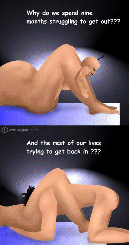 © Carmen Ezgeta © Carmen Ezgeta