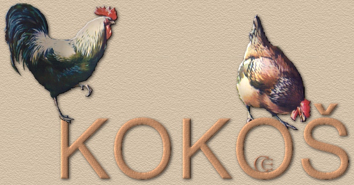 © Carmen Ezgeta © Carmen Ezgeta