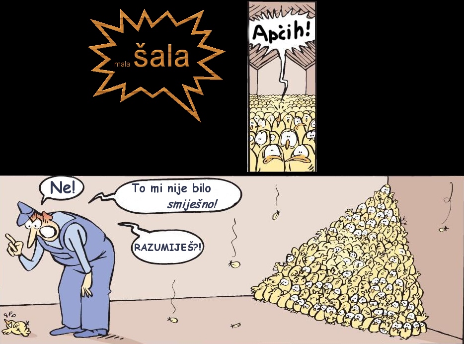 © Carmen Ezgeta © Carmen Ezgeta